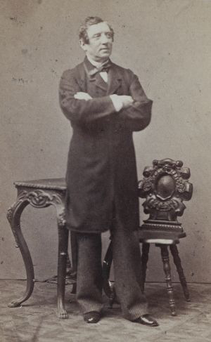 Portret Alojzego Żółkowskiego, 1865 / domena publiczna